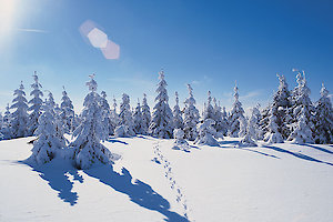 Winter im Passauer Land